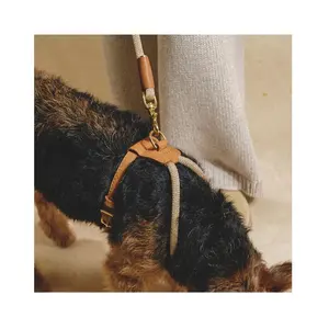 customized leather harness nylon rope dog collar leash set
