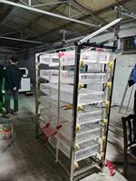Cage à cailles automatique/Cage à cailles en plastique/Cages à cailles pour la production d'œufs HJ-QC400B