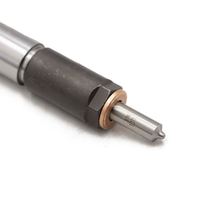 0445110346 0 445 110 346 Inyector de Combustible Diésel Common Rail de Alta Calidad, Nuevo Conjunto de Inyector 0445110347 0 445 110 347