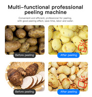 High Power Hot Selling Low Moq Fruit Groenten Dunschiller Apparatuur Roestvrij Staal Automatische Schoon Wassen Aardappelschilmachine