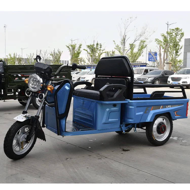 Personnalisé 800w 48v adulte 3 roues tricycle électrique longue durée de vie tricycle de transport pour le fret