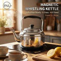 Bouilloire moderne en acier inoxydable 410, 3/10 litres, base magnétique, compatible avec les plaques à induction, écologique, légère
