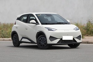 Auto Elettrica Compatta di Alta Qualità, Velocità 130 Km/h, BYD Seagull per Città e Autostrada - Product Image 6
