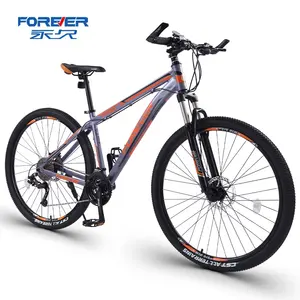 FOREVER Popular Money 29 pouces autre vélo vélo de route en aluminium VTT