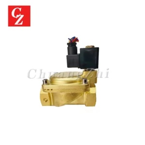 Válvula Solenoide de Paro de Aceite 39318233 AC110V para Piezas de Compresor de Aire Ingersoll Rand - Product Image 3