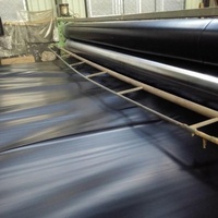 Geomembrana de HDPE, Revestimiento Impermeable, Ahorra Costos en Proyectos, Reduce Fugas y Pérdidas, Bajo Mantenimiento, para Vertederos y Minería