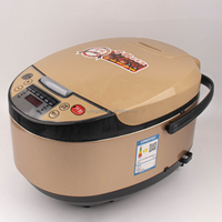 Autocuiseur de riz multifonction intelligent et numérique de 5 L pour la maison, grande taille, électrique, automatique, à faible teneur en sucre, idéal pour les diabétiques