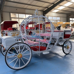 Carruaje Eléctrico de Lujo Zhenda Royal sin Caballos en Varios Colores, Hecho en Henan - Product Image 4