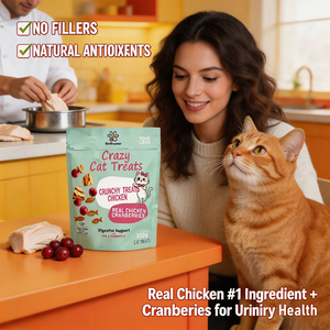 Golosinas Naturales de Catnip para Gatos con Logotipo Personalizado OEM/ODM - Sabor Crujiente a <span class=keywords><strong>Pollo</strong></span> y Frambuesa, Salud Digestiva Probiótica, Sin Maíz/Soya - Product Image 2