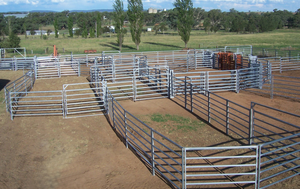 Portable Cattle Fence Livestock <strong>Panels</strong> Lowes <strong>Hog</strong> Wire Fencing Australian Cattle Yards System <strong>Panels</strong> - Product Image 2