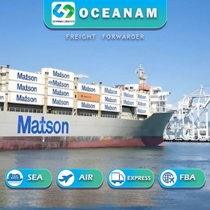 为美国进出口集装箱运输提供货运代理服务的国际航运公司 - Product Image 6