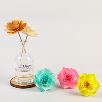 Vente en gros fait à la main en coton Sola en bois fleur roseaux diffuseur diffuseur de parfum stocké plantes décoratives