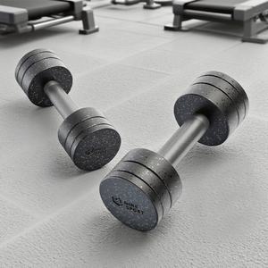 Wholesale Cheap Bodybuilding Gym Equipment Dumbbell Set for Gym for Workouts and Training