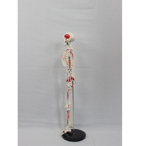 85CM( - Product Image 2