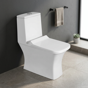 Inodoro de Cerámica de Una Pieza con Asiento y Lavabo a Juego para Baños Africanos - Product Image 6