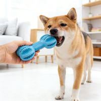 Jouet à mâcher pour chien en silicone durable sans BPA, distributeur de nourriture, haltère dentaire double pour l'entraînement des chiots