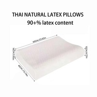 Apivita Z-260 Oreiller en latex naturel du Shandong personnalisé en usine, soutien cervical pour adulte, forme bonbon, motif feuillage