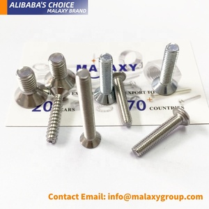 MALAXY ISO14581 18-8 Acero inoxidable T20 Torque Tornillo Torx Head Tornillos de madera para Chevy Bolt <span class=keywords><strong>Forum</strong></span> - Product Image 2