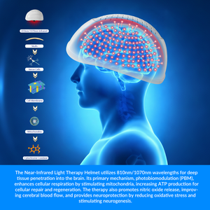 Casco de Terapia de Luz para Neuromodulación, Dispositivo de Fototerapia Infrarroja Cercana de 810nm para Alzheimer, <span class=keywords><strong>Parkinson</strong></span>, Demencia y Salud Mental - Product Image 2