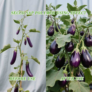 Tarım için su koruma maddesi potasyum poliakrilat SAP süper emici polimer için en iyi fiyat - Product Image 3