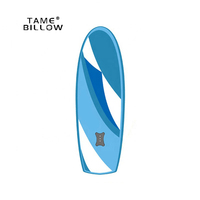 Planche de surf Efoil, planche de surf à propulsion à jet, planche de surf électrique hydrofoil avec batterie