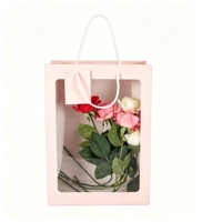 Online-Beliebte Festtags-Handtaschen mit Blumenmuster, Instagram-Style Transparente Handtaschen