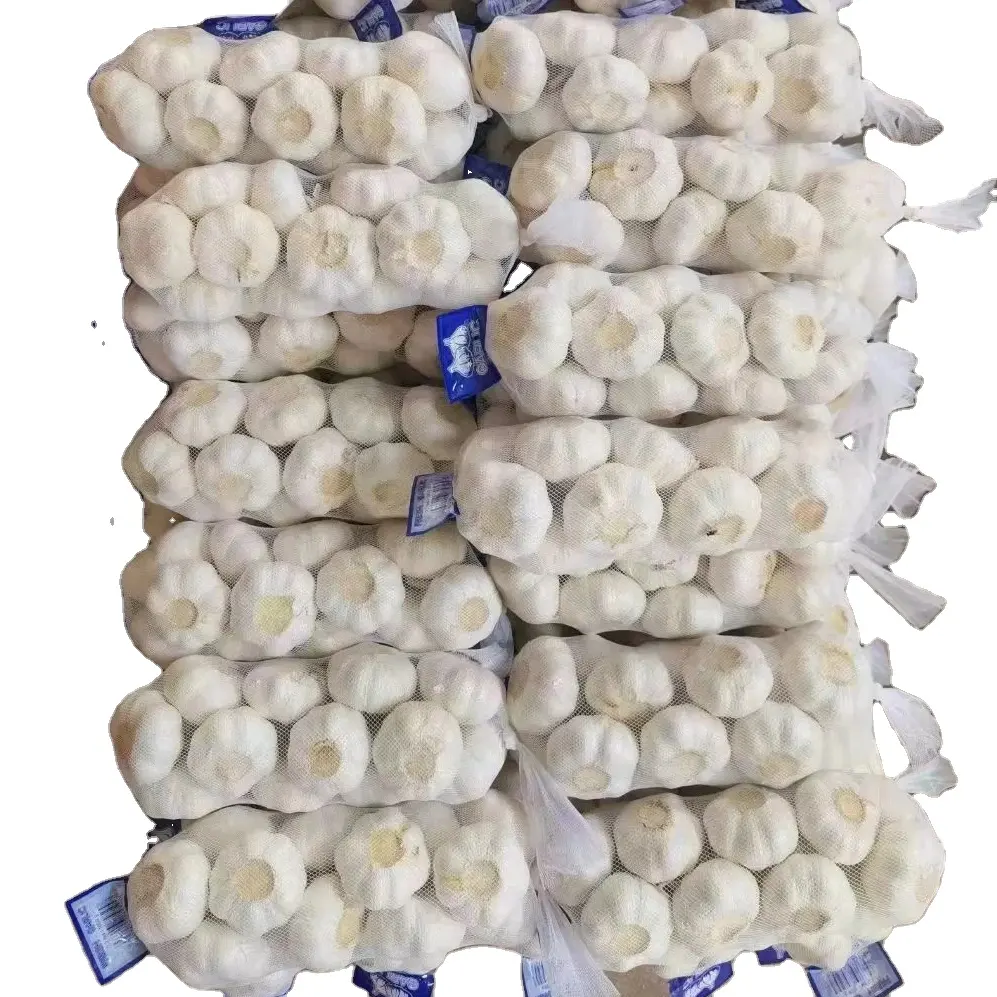 Ail Prix 10kg Mesh Bag China Factory à Shandong Pure White Normal White