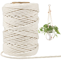 Échantillon gratuit de corde en coton diamètre pour macramé 2mm cordon torsadé décoration cordon en coton macramé torsadé blanc