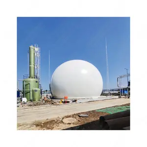 HY Biogas plant biodigestor polietileno production puxin with double membrane gas holder for waste