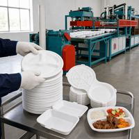 Machine à haute vitesse pour contenants alimentaires à emporter, équipement de thermoformage automatique de boîtes en mousse PS, ligne d'emballage jetable