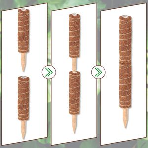 12 "Plant Stakes Moss Pole Tomato Plant Sticks <span class=keywords><strong>Support</strong></span> <span class=keywords><strong>pour</strong></span> la croissance des <span class=keywords><strong>plantes</strong></span> <span class=keywords><strong>grimpantes</strong></span> à l'<span class=keywords><strong>intérieur</strong></span> - Product Image 4