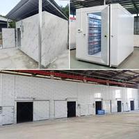 Chambre Froide Commerciale Portable Conteneurisée 20 Pieds, Conteneur 40 Pieds, Conteneur Industriel Grand Format 10x14 pour Congélation