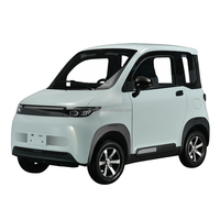 Quadricycle électrique pour adultes certifié CEE L6e-BP 25km/h 45km/h COC, véhicule à énergie nouvelle 4 roues 2 places, mini EV monomoteur en cuir