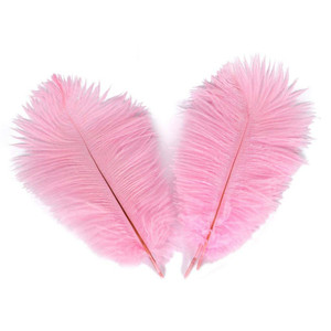Petit pôle mince en résine d'autruche, 25-30cm, 10-12 pouces, décoration de plumes d'autruche, mur de <span class=keywords><strong>plume</strong></span> rose en vrac - Product Image 3