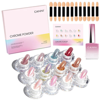 12 pièces/lot Poudre Métallique Chrome CANNI pour Nail Art, Effet Miroir, Pigment Métallique, Poudre Chrome avec Top Coat et Pinceau