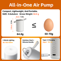 Mini pompe à air électrique pour articles gonflables avec batterie de 1600 mAh et lampe de camping, gonflage et dégonflage pour matelas pneumatique, sac de rangement sous vide