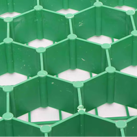 Dalles en plastique HDPE pour gazon, pour les applications industrielles, les parkings, le drainage des barrages et les jardins