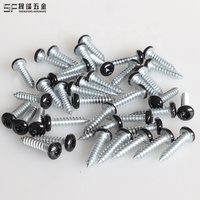 Vis autotaraudeuses à tête Torx cylindrique, revêtement noir, en acier inoxydable 1022 SS304 316, filetage grossier et fin pour métal et plastique, métrique et impérial