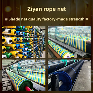 Betel Nut Watermelons Agriculture Hdpe Colorful Shade <strong>Net</strong> for Garden /60% <strong>Uv</strong> <strong>Treated</strong> Shadenet/garden Shade Cloth - Product Image 4