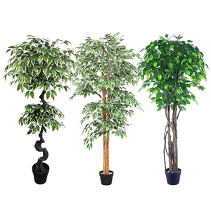 Árbol Artificial Decorativo de Ficus/<span class=keywords><strong>Benjamin</strong></span> de Plástico Económico, Ecológico, para Uso en Interiores/Exteriores, Vida Útil de 8-10 Años, Altura Ajustable - Product Image 5