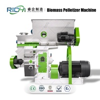 Machine à granulés de biomasse RICHI - Machine complète de granulation de biomasse à haute capacité pour bois, sciure de bois, avec certification CE