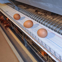 Nouvelle cage à poules entièrement automatique en acier de type H à 345678 étages avec système d'alimentation automatique, adaptée aux poules pondeuses des fermes avicoles