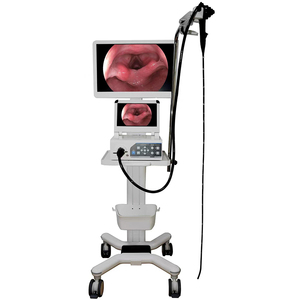 Système <span class=keywords><strong>d</strong></span>'endoscopie vidéo portable, gastroscope, colonoscope, <span class=keywords><strong>équipement</strong></span> <span class=keywords><strong>d</strong></span>'endoscopie médicale HD, <span class=keywords><strong>fournisseur</strong></span> <span class=keywords><strong>d</strong></span>'<span class=keywords><strong>équipement</strong></span>s médicaux et vétérinaires - Product Image 1