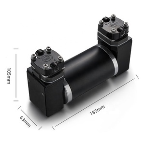 ARP12DC24P 고압 스테인리스 피스톤 펌프 30L/분 오일리스 왕복 피스톤 펌프 24V 더블 피스톤 진공 펌프 - Product Image 1