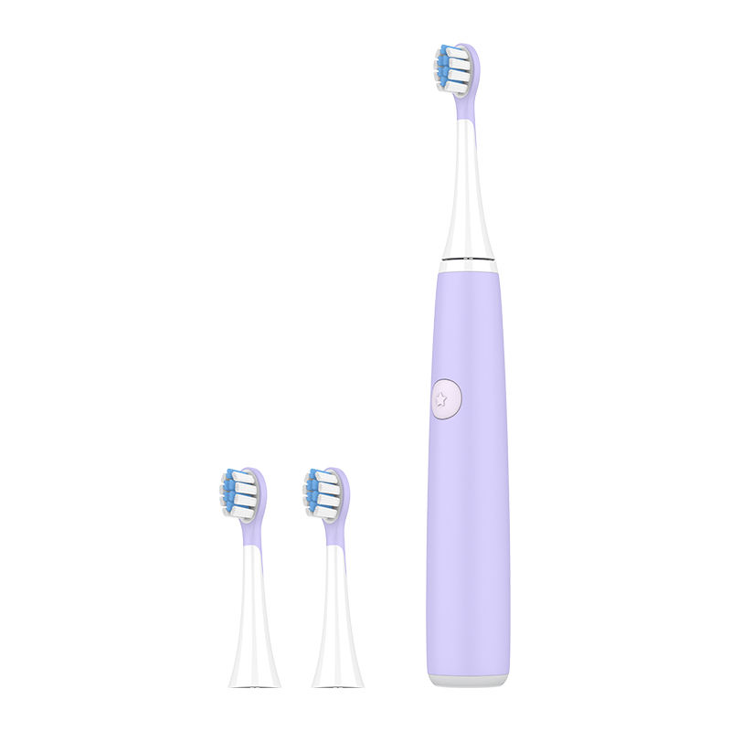 Purple- Standard Electric Toothbrush