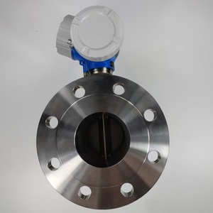 7D2C40-AAACBAAAAAD2SKA1+AA DN40 เครื่องตรวจจับการไหลแบบดิจิตอลป้องกันการระเบิด - Product Image 1