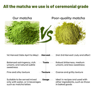 Matcha en Polvo de Grado Ceremonial con Champiñón Chaga, <span class=keywords><strong>Cacao</strong></span> Peruano y Canela de Ceilán, Marca Privada OEM - Product Image 2