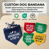 Bandana personnalisé pour chien avec nom brodé, foulard triangulaire, accessoires de costume pour animaux de compagnie