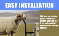 Nouveau support pour moutons en fonte thermolaquée avec engrenage pour la tonte et le traite, facilement assemblable pour l'élevage