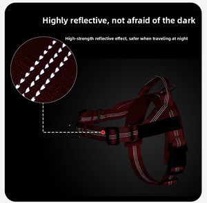 Imbracatura e Guinzaglio in Nylon Riflettente Turchese Anti-Trazione per Cani <span class=keywords><strong>di</strong></span> Taglia Media/Grande, Gilet Anti-Fuga per Border Collie Attivi - Product Image 3